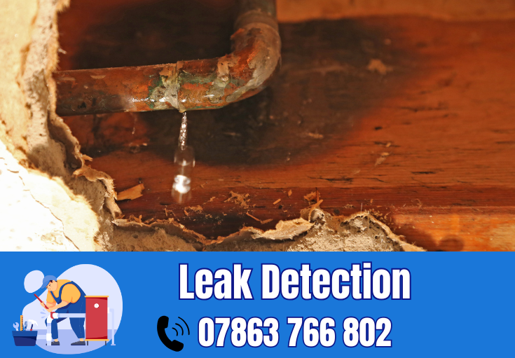 leak detection Frodsham
